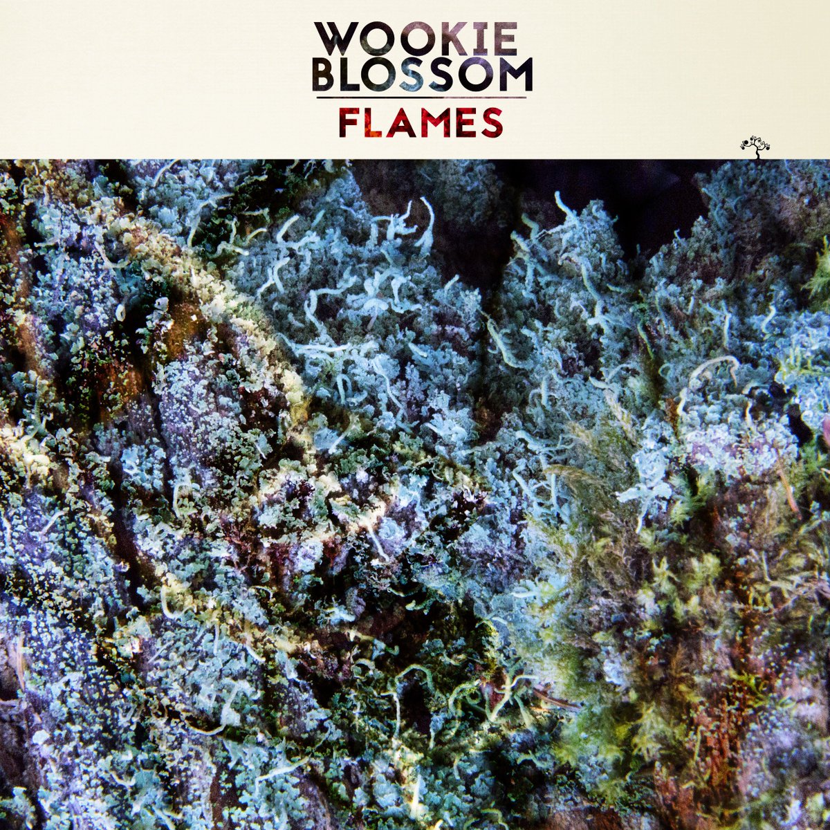 We are delighted to announce upcoming Figures EP by Wookie &amp; Blossom with this amazing single! Flames available NOW on Bandcamp. Free Download! #Free #Organic #TripHop 

blossomusic.bandcamp.com/track/flames