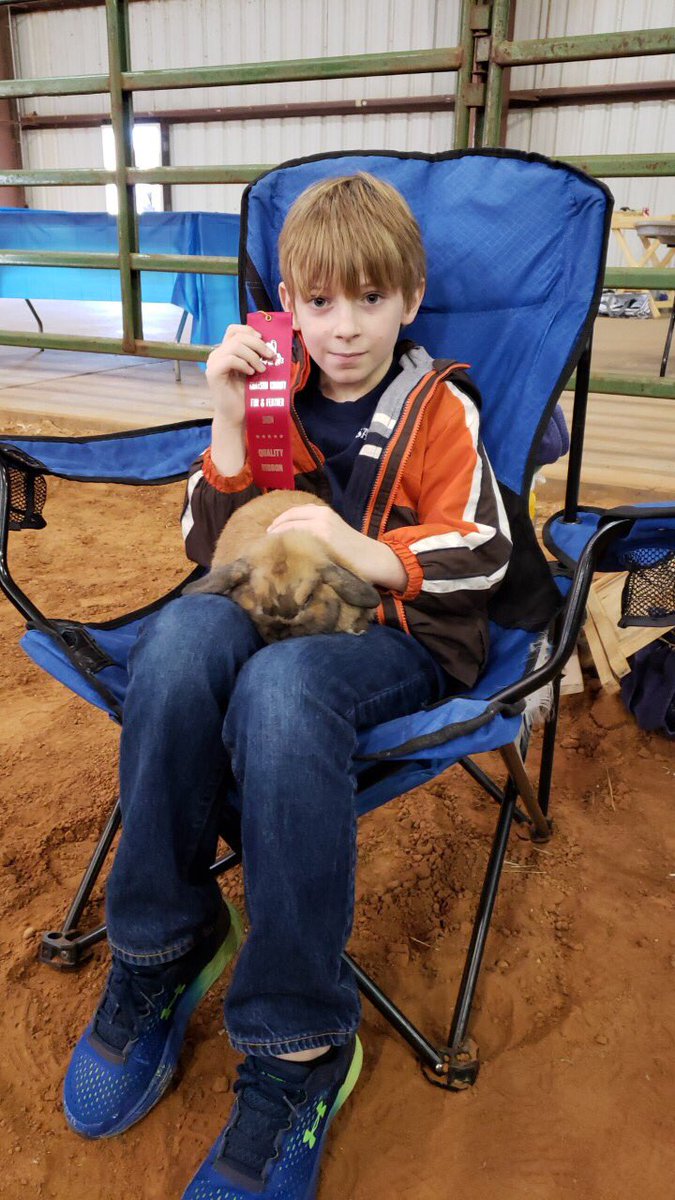 DadsGirlBoyMom's tweet photo. So proud of Gabe and Benjamin! First show, first ribbon! Would have had 1st if he hadn’t started molting this week but we are in good shape for the next show! #JuniorFFA #BoyandhisBunny @FfaSachse https://t.co/FQSDwPLU9g