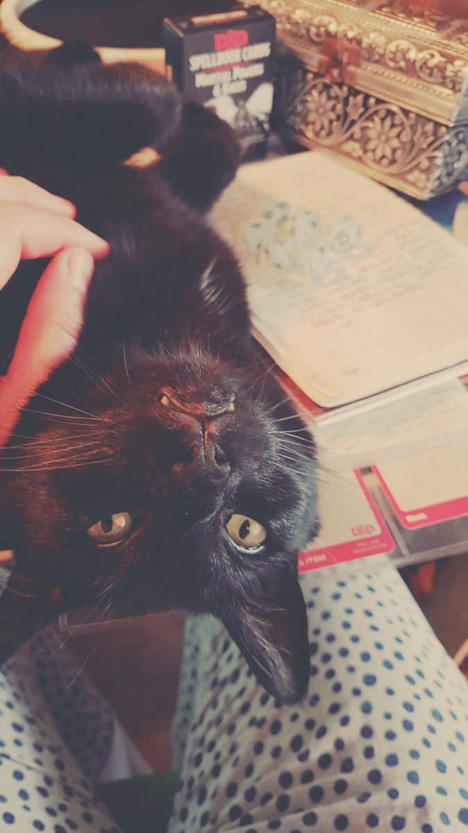 LavenderQuinn's tweet photo. DnD cat!
#catsrule #CriticalRole #critter #DnD https://t.co/4ulvdYcNpj