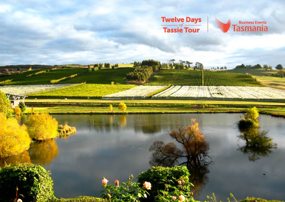 Twelve Days of Tassie Tour - Day 1
Enjoy a tour of Josef Chromy's stunning vineyard, just outside Launceston, and learn how to make your own wine and then catch a scenic flight over to Flinders Island where you can over indulge on seafood whilst glamping