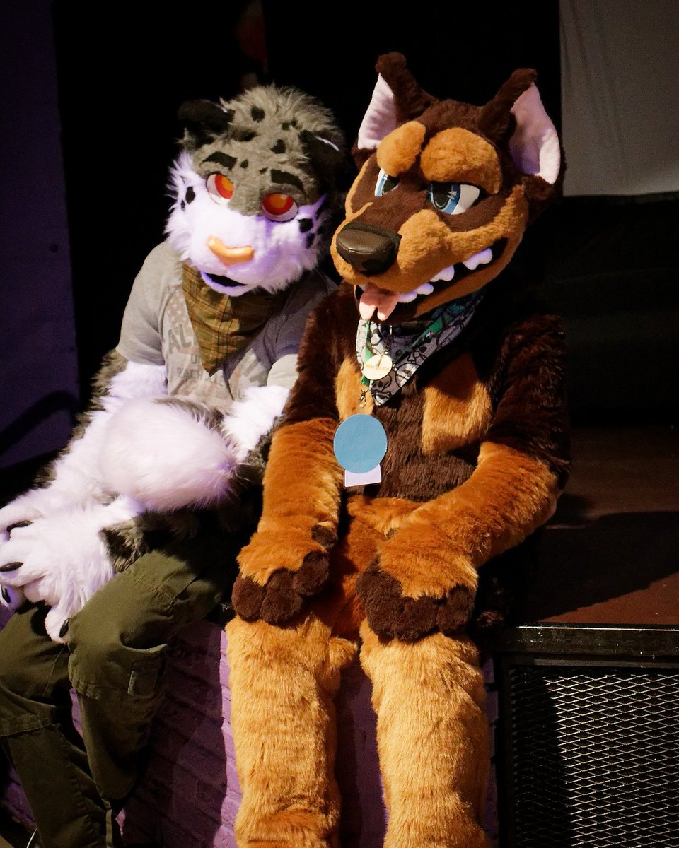 danger_dober's tweet photo. Chillin with @jester_snowleopard at DFE 1, it was a lot of fun!β£
π·: @SfynxNL
π: #dutchfurevent Odijkβ£ https://t.co/XdhHXAZyIy