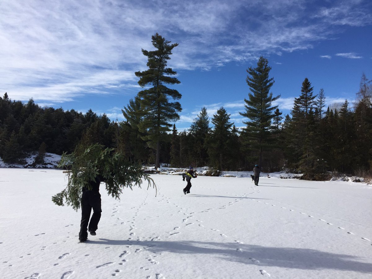 jageddes's tweet photo. A pretty epic #XmasTree expedition this aft... perfect day to find the #BestTreeEver https://t.co/2n0ieBwG2v