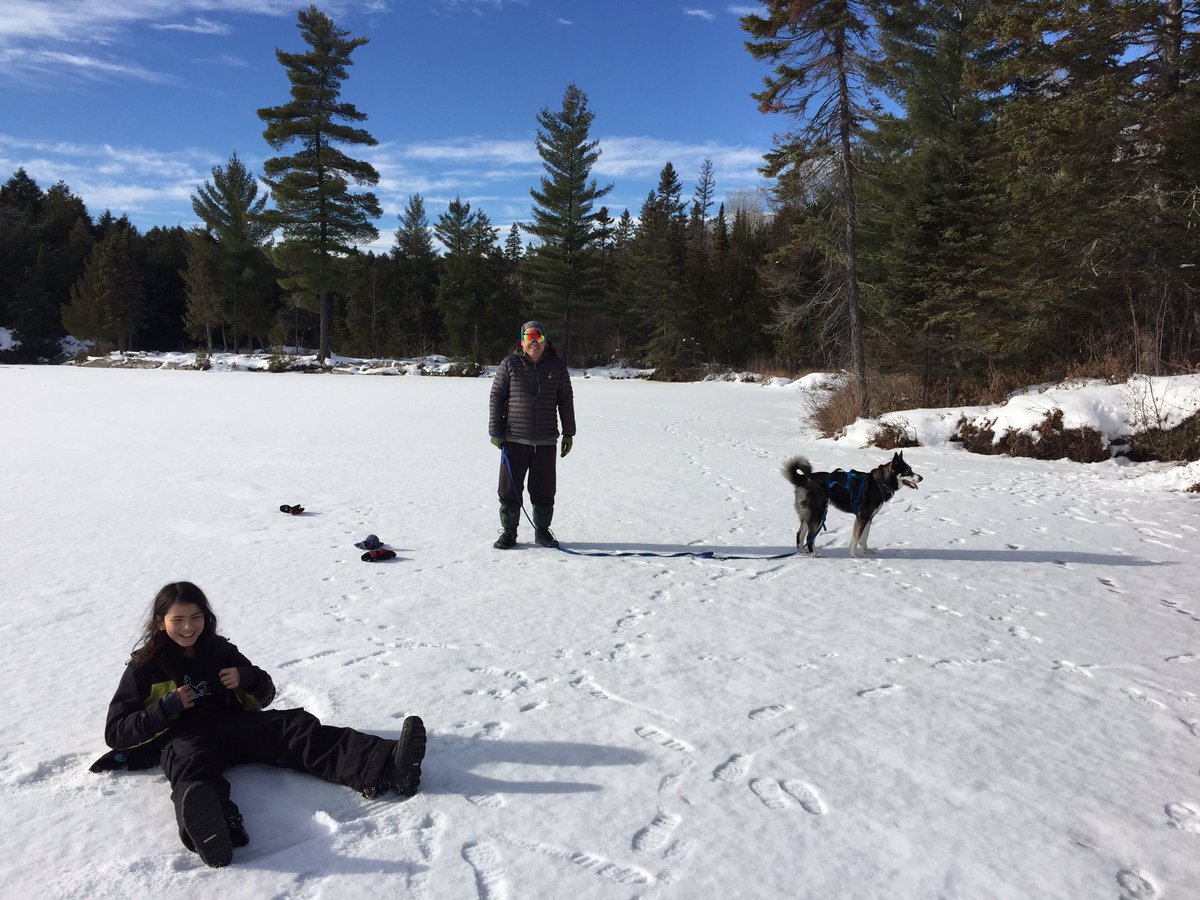 jageddes's tweet photo. A pretty epic #XmasTree expedition this aft... perfect day to find the #BestTreeEver https://t.co/2n0ieBwG2v