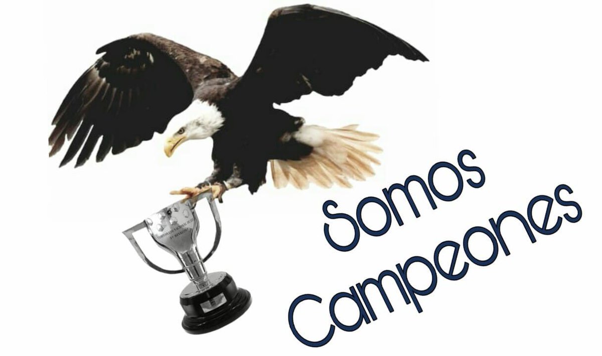 zepeda48's tweet photo. Somos Campeones https://t.co/KtL82k0o3V