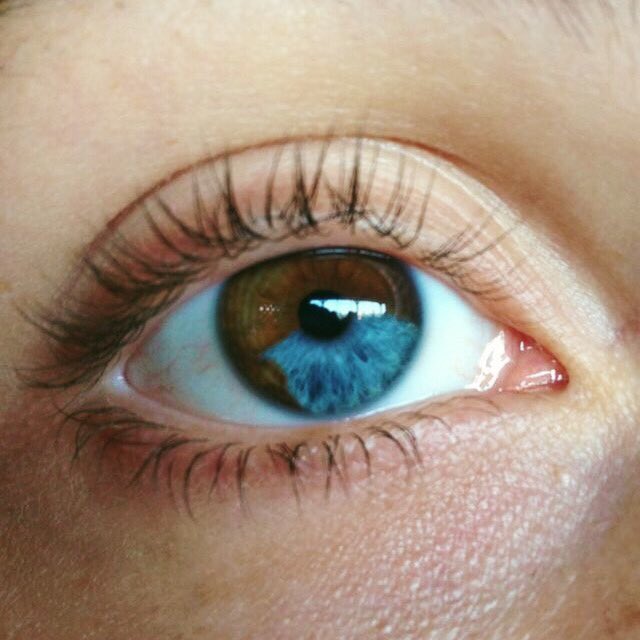 lavieimiitelart's tweet image. sectoral heterochromia