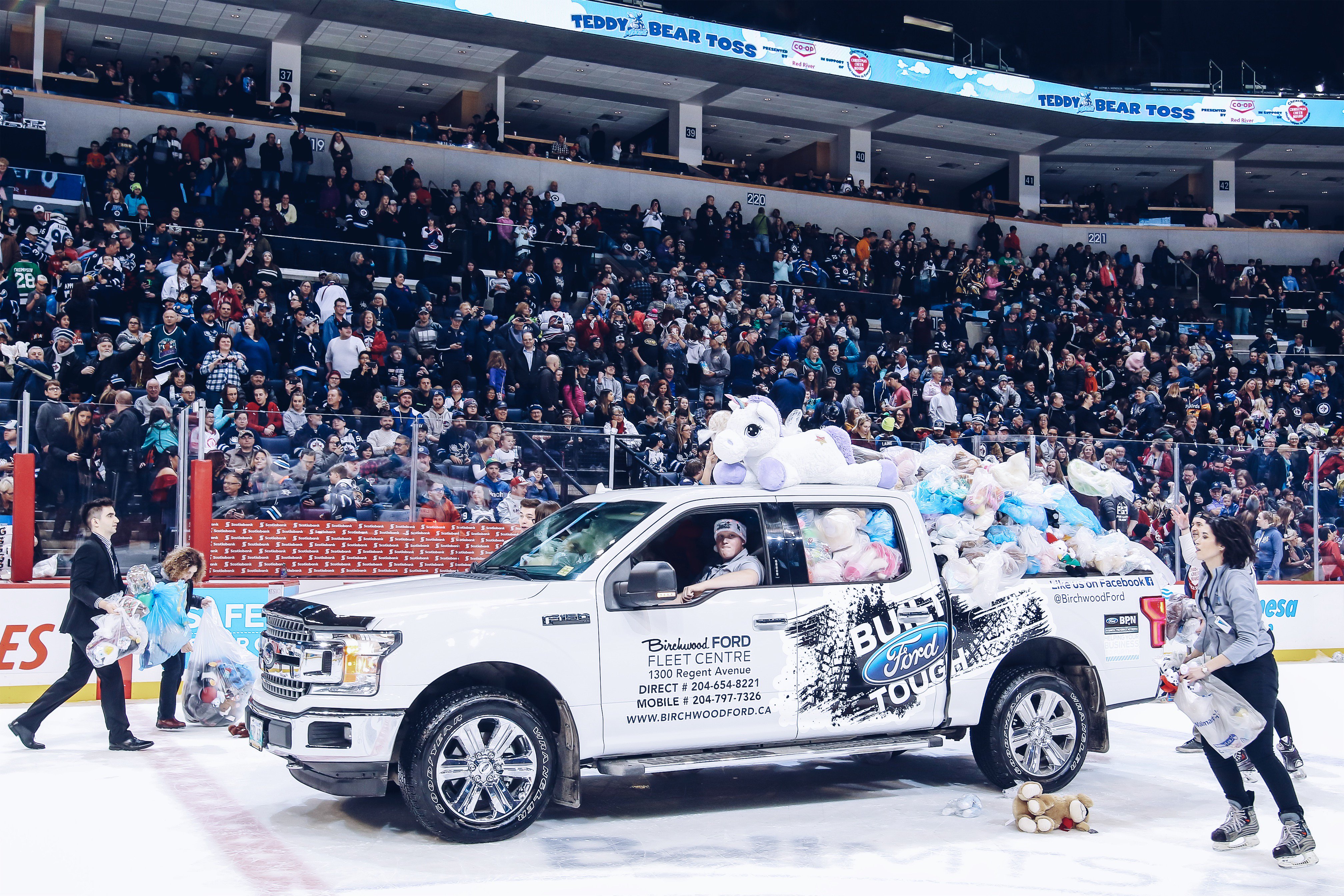 Manitoba moose teddy bear toss 2018 new arrivals