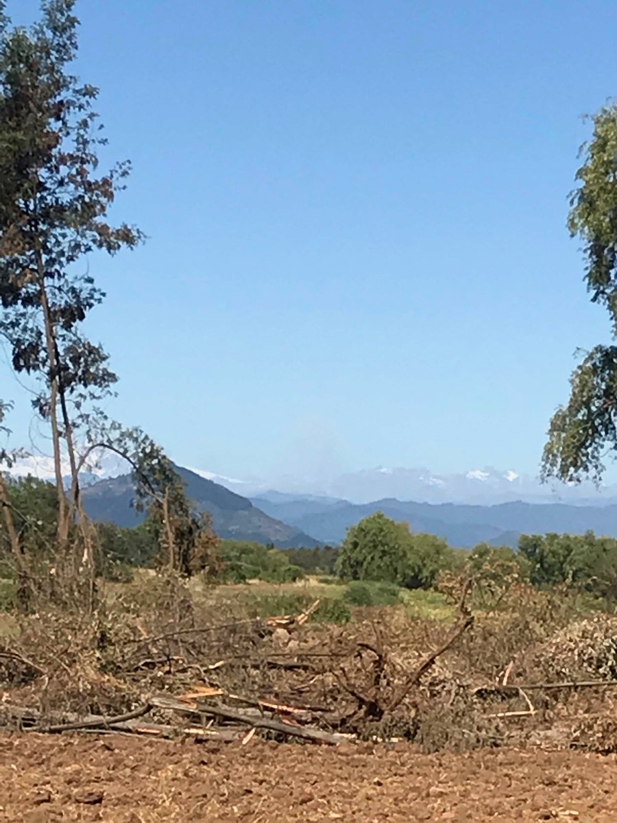 gustavohawesl's tweet photo. #volcanpeteroa visto desde la comuna de San Clemente, región del Maule. Cenizas se desplazan en dirección sur-este. https://t.co/hiG1creYLR