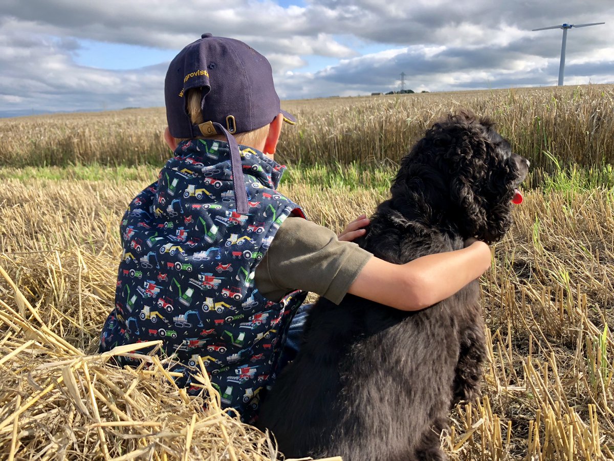 Lakes and Lambs tweet media