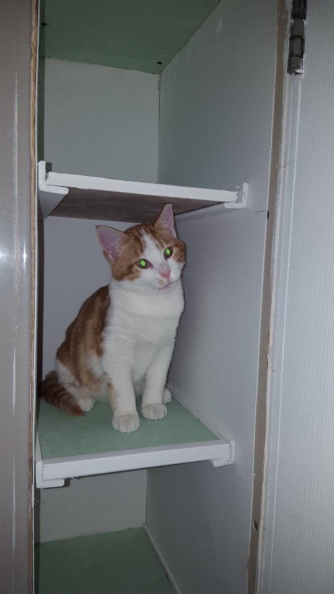 R Simard tweet media