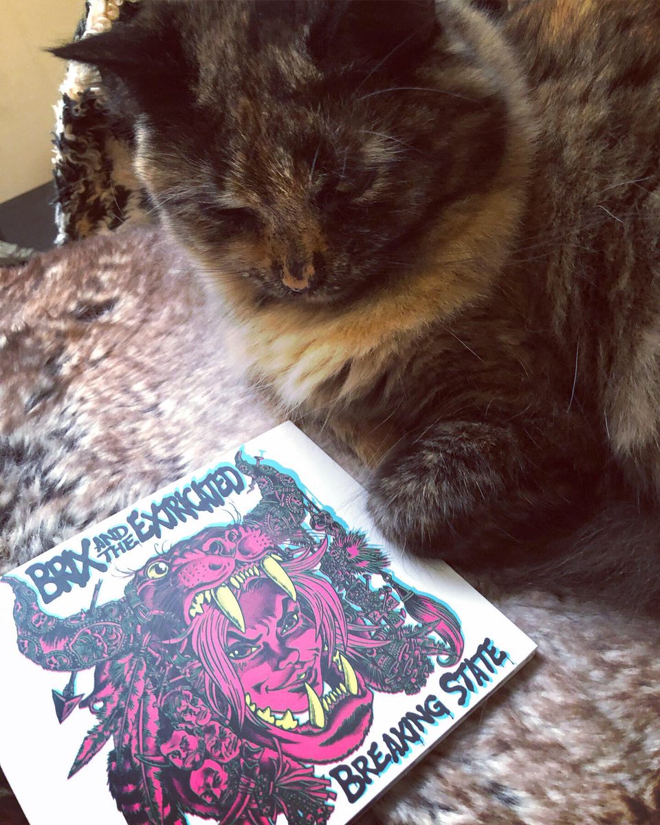 egseah's tweet photo. Brix the sleepy kitten cuddling with the newest from @BrixExtricated. Happy Sunday!โค๏ธ #brixthekitten #brixy #brixandtheextricated #breakingstate #brixsmithstart https://t.co/tb7rDreIKY