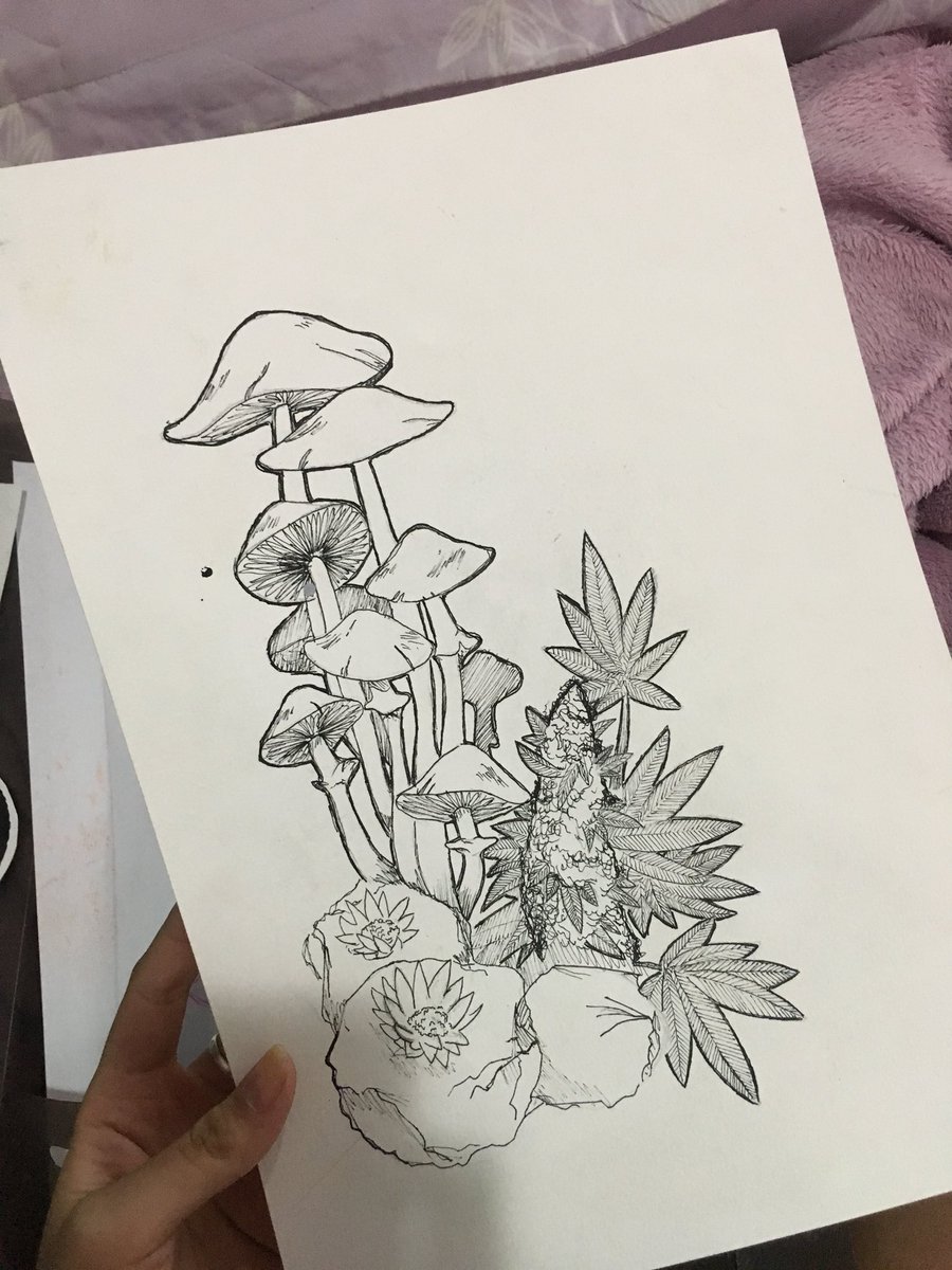 machine__elf's tweet photo. eai kk meu nome é isabela eu faço artes visuais na unesp e comecei a desenhar +- esse ano mesmo!! eu curtia mt desenhos preto e branco só com a caneta nanquim mas ultimamente to colorindo eles digitalmente pra fazer uns prints e adesivos!! fortalece ai no rt rsrsr #ajudeoartista https://t.co/6swrWgB4O1