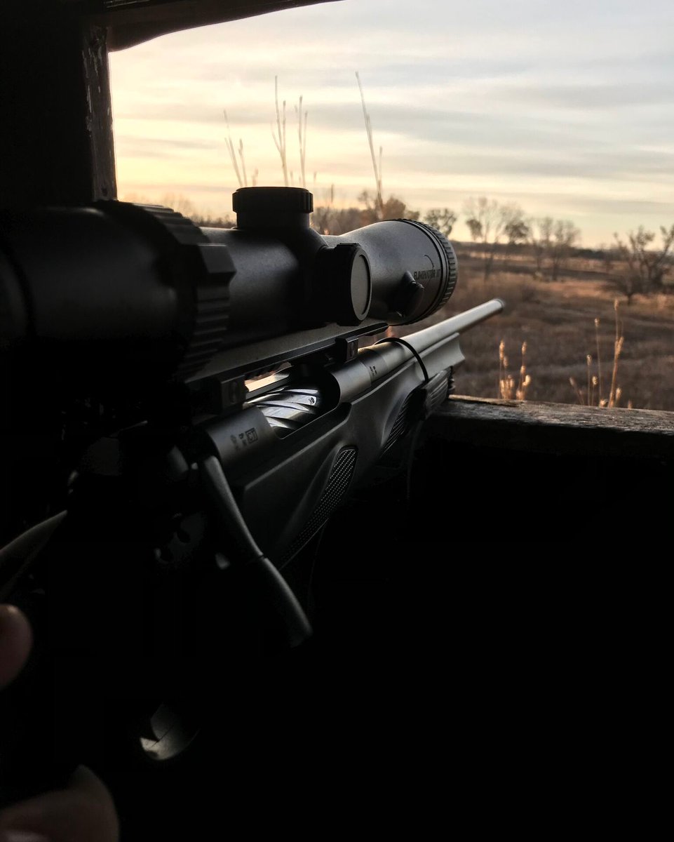 Grandpas_Place1's tweet image. RT @BurrisOptics: What are you going to miss most about the view out of your tree stand? 
-
-
-
-
#BurrisEliminator #BurrisOptics #FindWhatMatters #deerseason2018 #deerhunting #deercamp #deer #whitetail #hunt #hunting #riflehunting #gun #hunt #hunting #H…