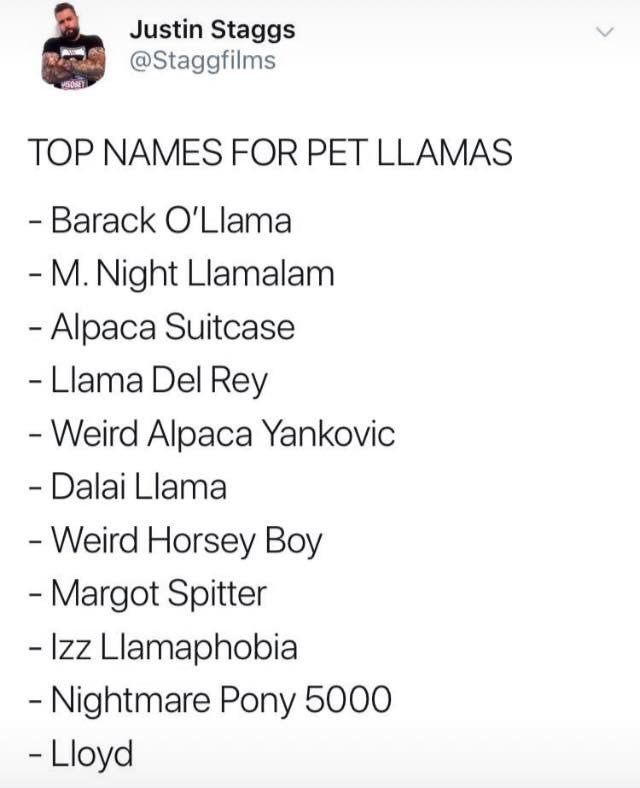 ScrletSpeedstr's tweet image. I need a new hobby........ oh look