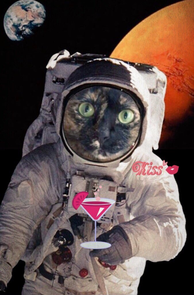 Mitheexferal's tweet photo. @noirkittymews @Biscuit_Meow @RoxyRoxLA Now I'm raising my paw to the toast, Biccy🥂💕😻🎄✨🚀much love&amp;hugs MI xx #HugosXmas https://t.co/9TWIugmEDa