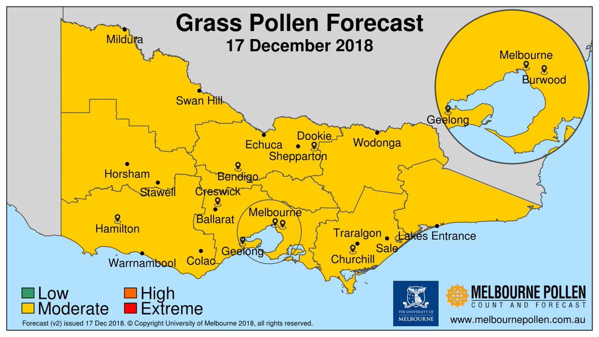 Pollen Chart For Today