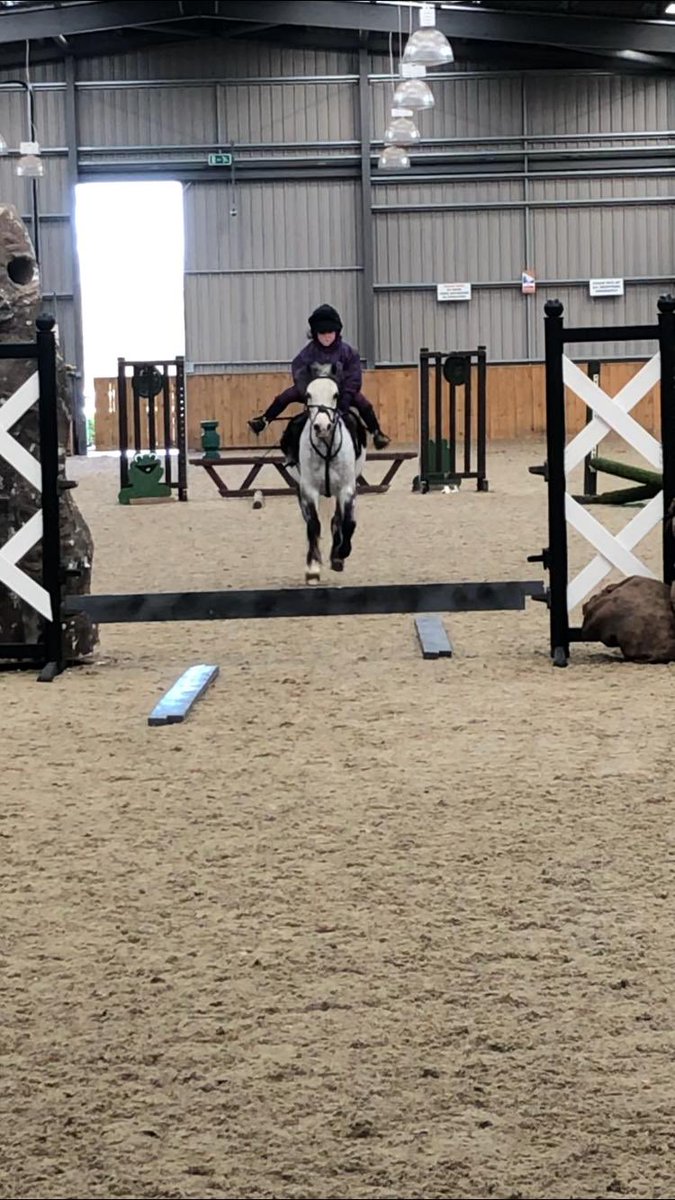 AnnabelleGalt's tweet photo. Commitment at its best!
We have been working with this young partnership to improve pelvic symmetry. 
Top young jockey Chloe had been finding it tricky to keep her pony straight approaching her fences. Every pro needs to start somewhere! https://t.co/fHJpiLBGM6