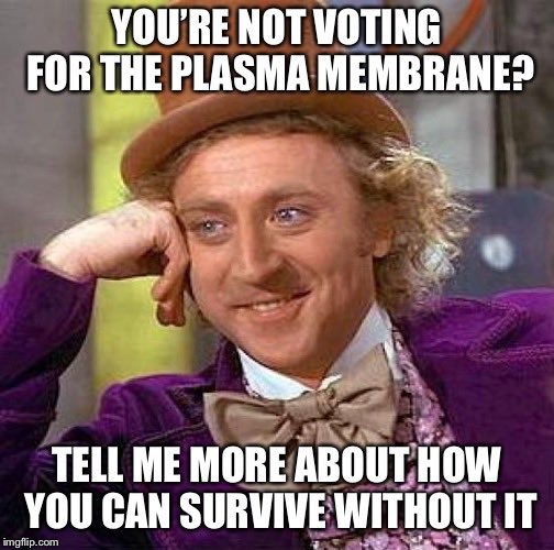 plasmamem18's tweet photo. Without the plasma membrane, the cell wouldn’t even exist because everything would just float away #OrganelleVoteSTHS2018 https://t.co/oNFoqc3TiB