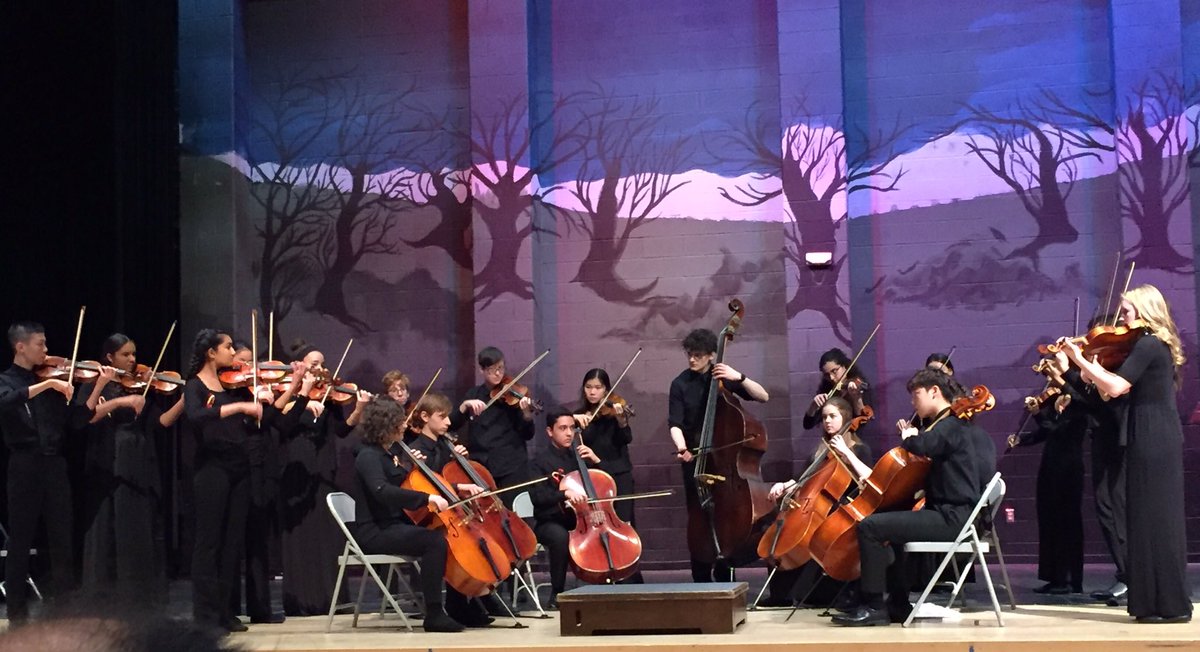 NFAMusic's tweet photo. Congrats to NFA Main Orchestra member Ada Johnston on a great performance with the Vivace Orchestra this afternoon. #Stringendo @AP_Shust @NfaPrincipal @susan_valentino @newburghschools https://t.co/pX32crP47E