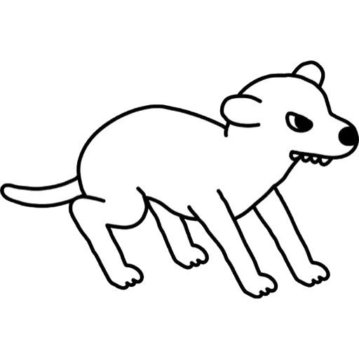 Cachorro tweet media