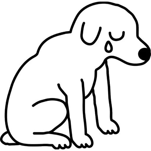 Cachorro tweet media