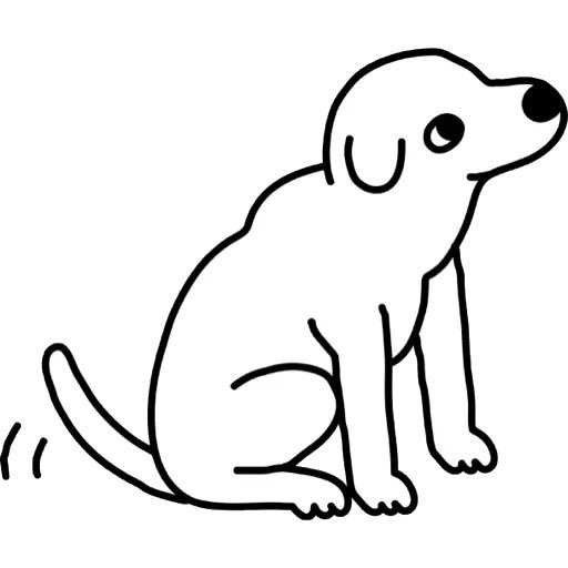 Cachorro tweet media