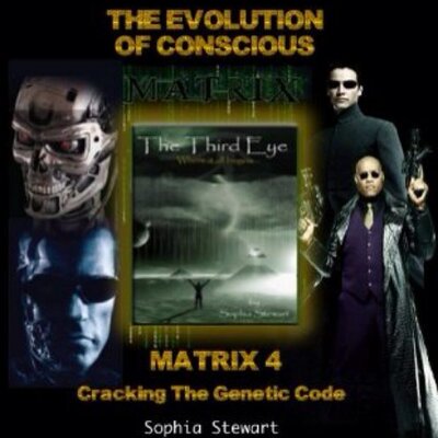 Sophia_Stewart's tweet photo. Buy it Now Matrix4 Book On Sale - https://t.co/3w9bwBx6h0 #thematrix #theterminator #Matrix4 #writerslife #amreading #MustRead #matrixfans https://t.co/BPZNgZXbvN