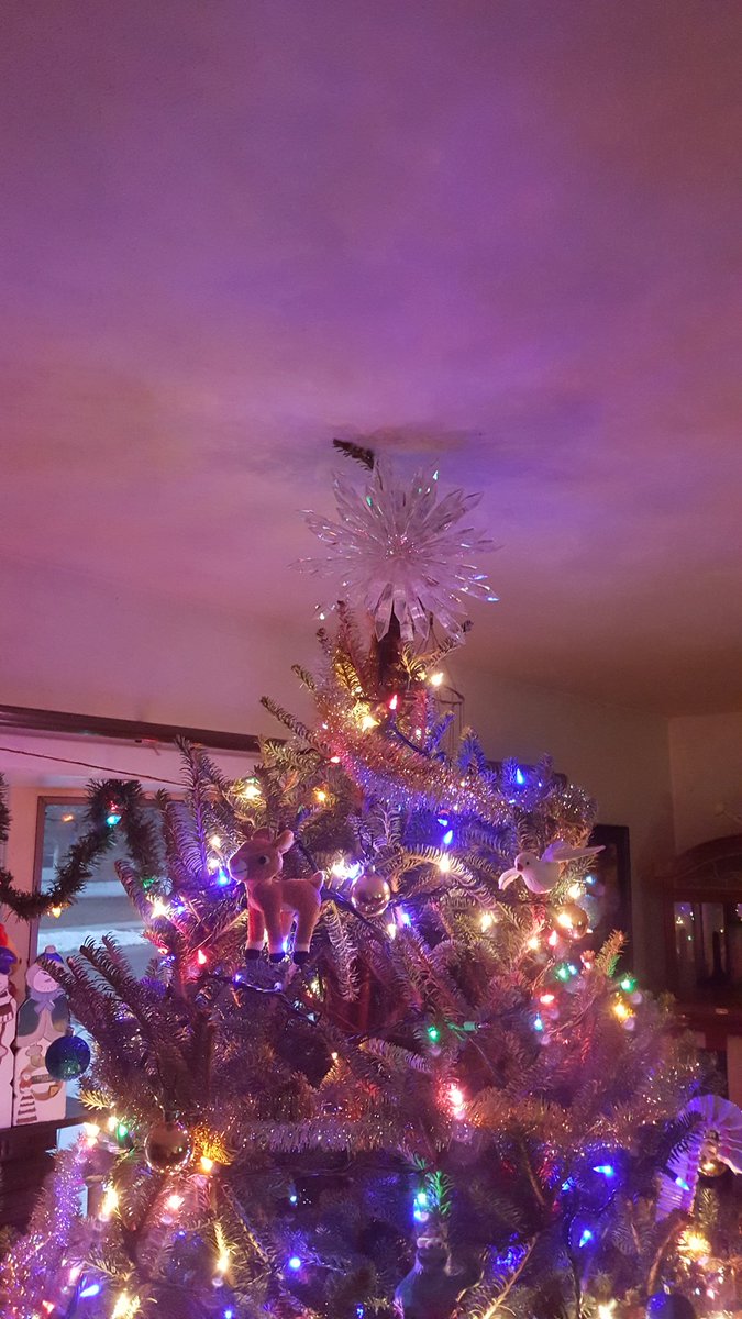 Ooops .... Is the tree taller than the star player?