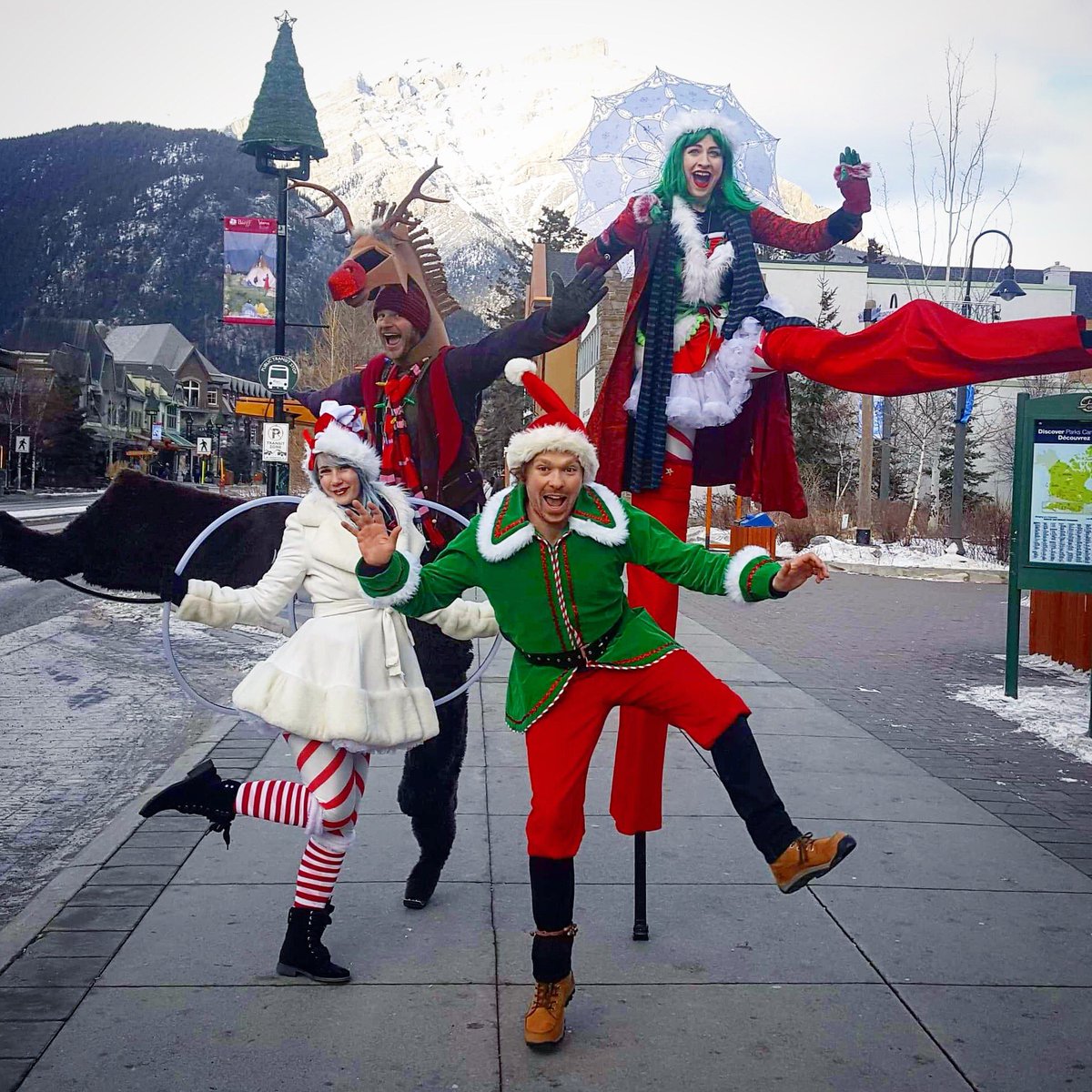 Indigo Circus tweet media