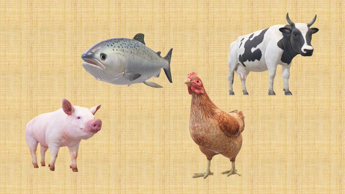 valentinfulga's tweet image. A retrospective view of #cellag 
linkedin.com/pulse/cell-agr… 
#stemcells