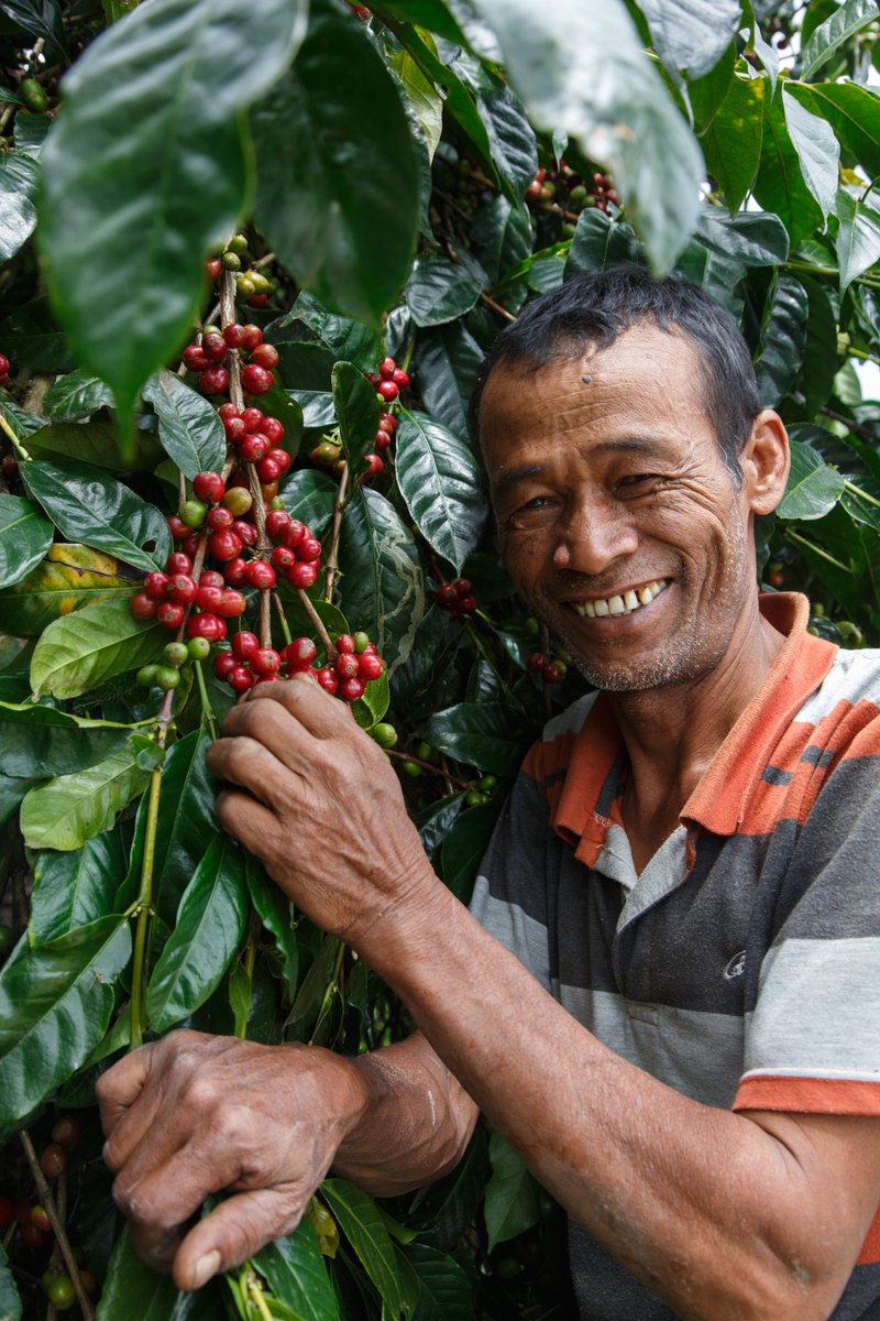 Every time you choose a product carrying the #Fairtrade Mark, you are making the choice to give a fair go to farmers, workers and their communities in developing countries 💪  

👉bit.ly/2pOJ3vK  

#ChooseFairtrade   

🌏