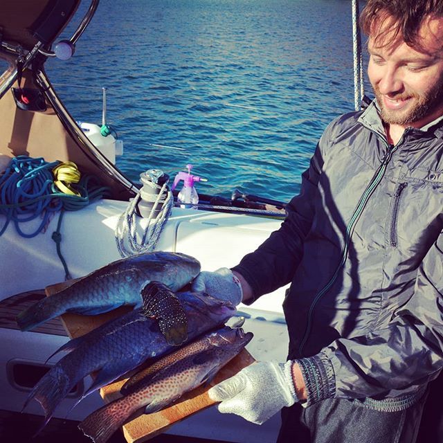 sail_allday's tweet photo. On this day in 2016, after going spearfishing in the Sea of Cortez, fish tacos and/or ceviche was had that day. #allday #fishing #sailing #seaofcorteZ #bajahaha https://t.co/NY5lvokTGd https://t.co/mnH0sGVAeW