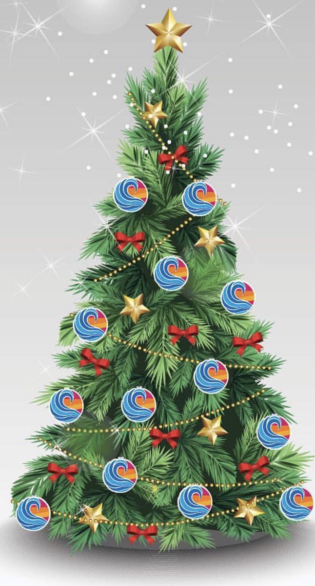 RMBFellowship's tweet photo. #RotaryInternationalDay Have a Merry Rotary Christmas everyone! 🎄 https://t.co/hRzUw4jL7f