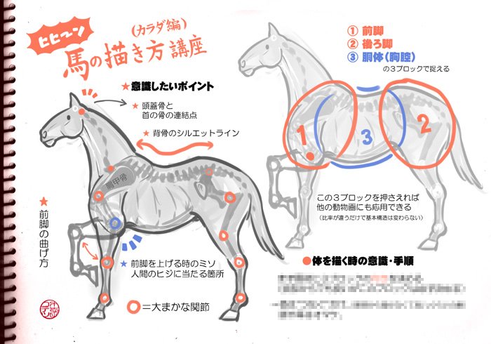 木志田コテツ 遊び方マンガ描き 某fgoで馬のフレンズこと 赤兎馬さんが追加されたので ファンアートしたいのに馬の描き方 がわからない って方に 弊イラスト集03には 馬の描き方 も掲載されておりますので よろしければ ﾟ ﾟ 馬の体も頭部も