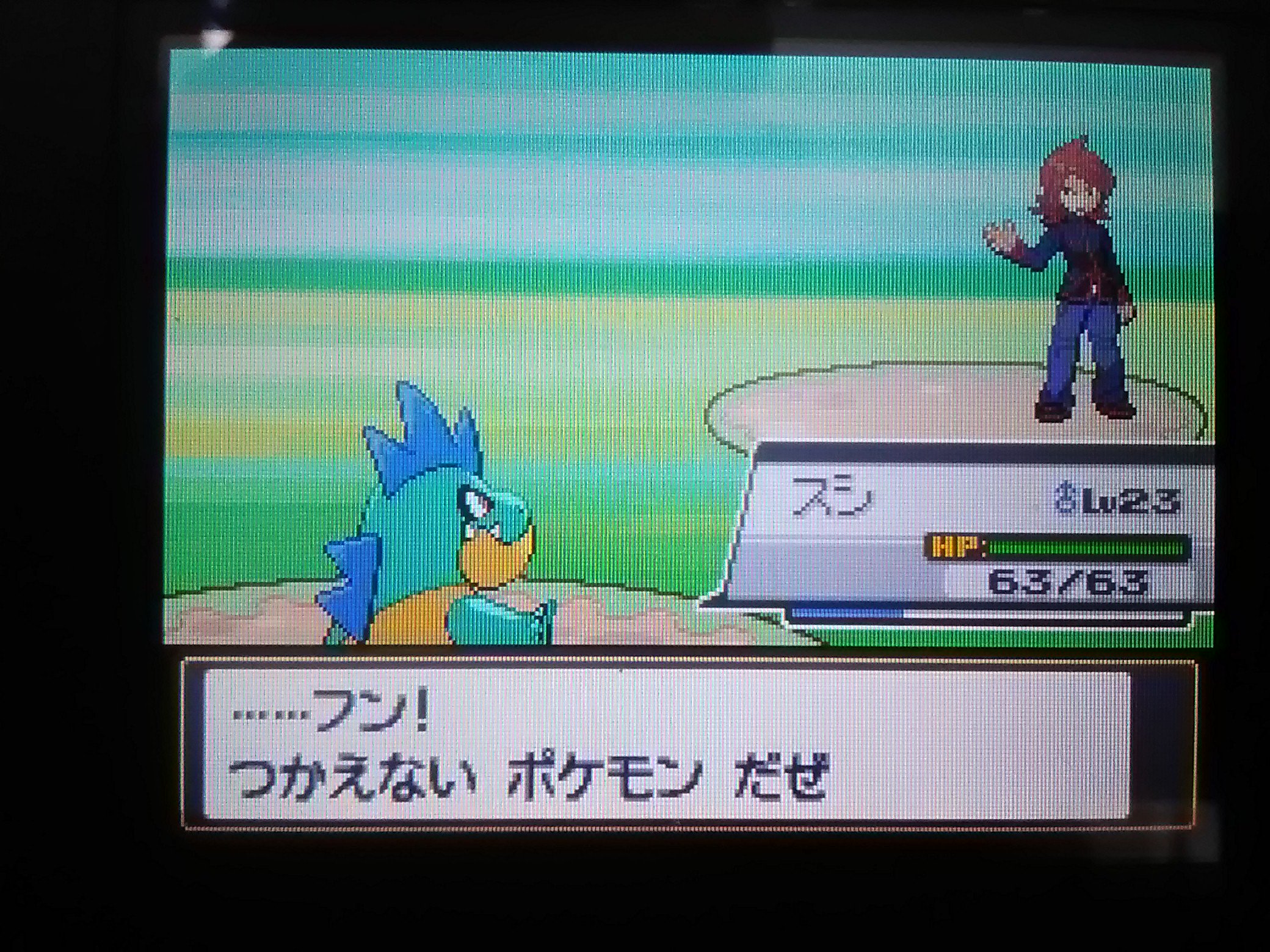 ポケモンソウルシルバー Twitter Search Twitter