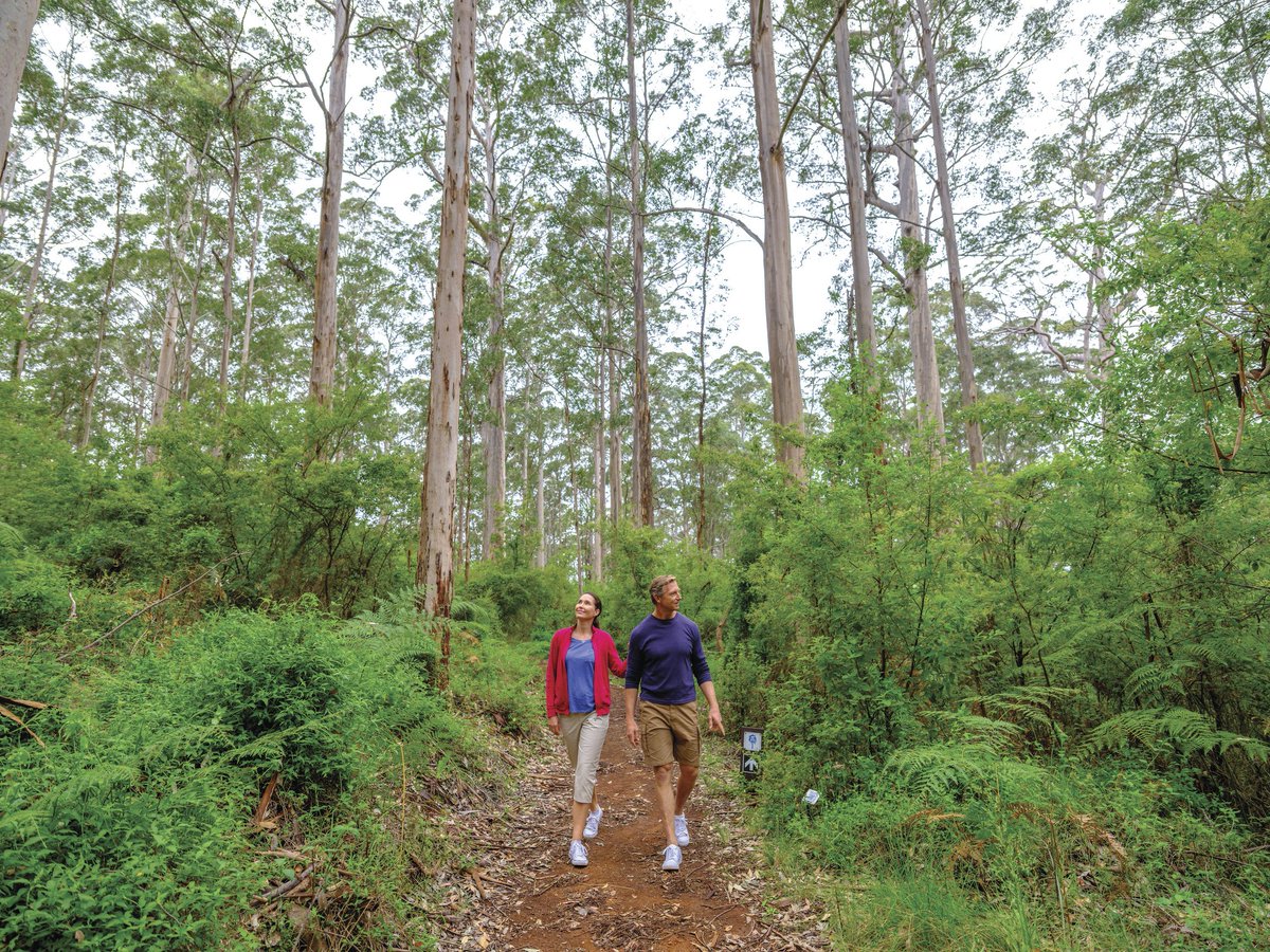 Western Australia (@westaustralia) on Twitter photo There's no shortage of great hiking trails to visit in <a href="/WestAustralia/">Western Australia</a> but we've narrowed down three of our best. Find out here 🚶⛰️🌲: bit.ly/2Ph3SdL There's no shortage of great hiking trails to visit in <a href="/WestAustralia/">Western Australia</a> but we've narrowed down three of our best. Find out here 🚶⛰️🌲: bit.ly/2Ph3SdL