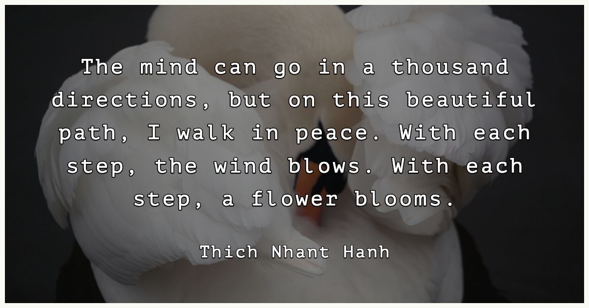 MarkFooRecruit's tweet photo. #Mindfulness https://t.co/Q6pNoIrEzu