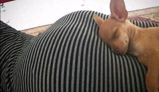 queria ta exatamente assim com a desgraçada que eu gosto