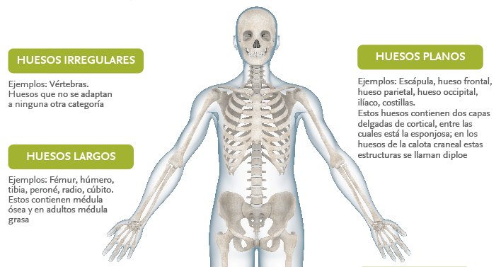 El cáncer de huesos duele El cáncer de huesos duele