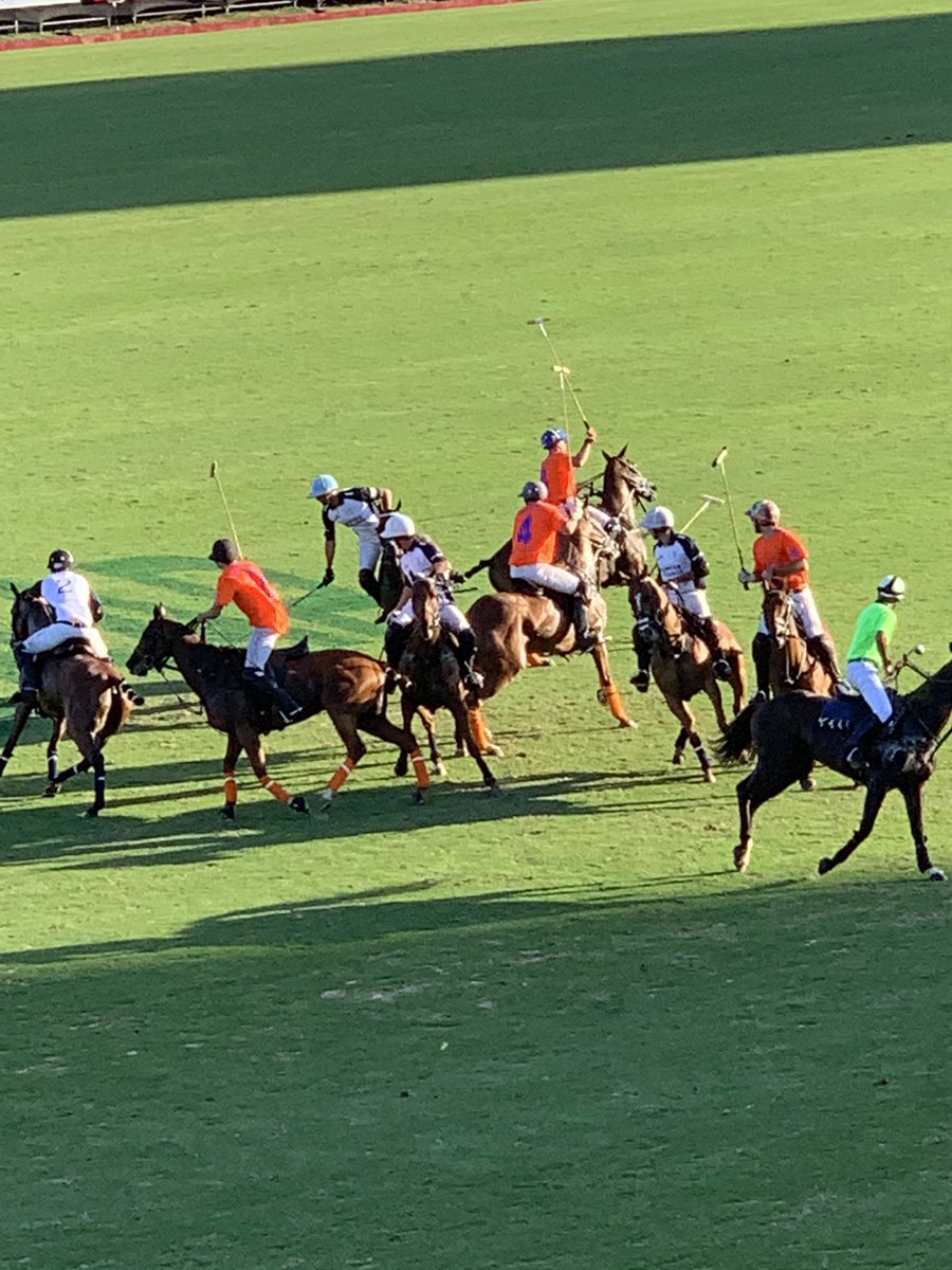 miami_polo's tweet photo. https://t.co/PlycfZtgyC