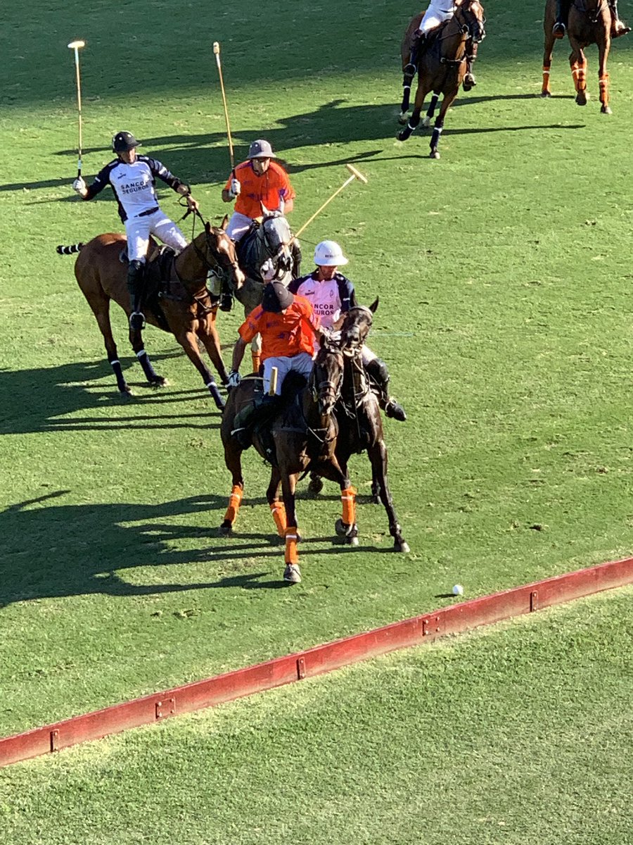 miami_polo's tweet photo. https://t.co/tdIkj2A6Rc