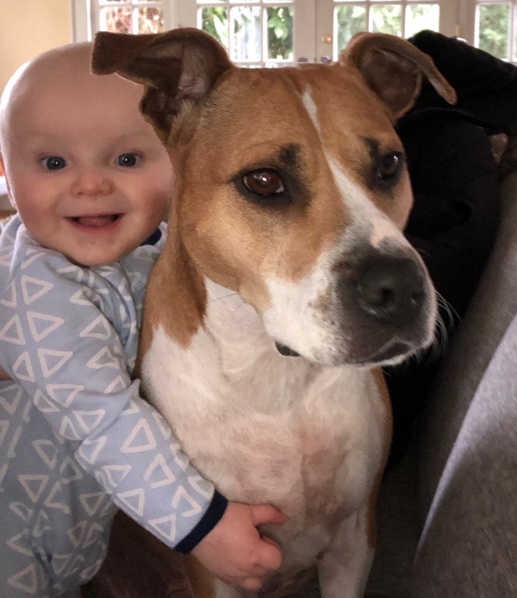 theruddocks's tweet photo. Can’t believe ‘my bubba’ is 5 months old! Love his infectious smile!#gigi&amp;pops💗 https://t.co/wEAGRNCt6G