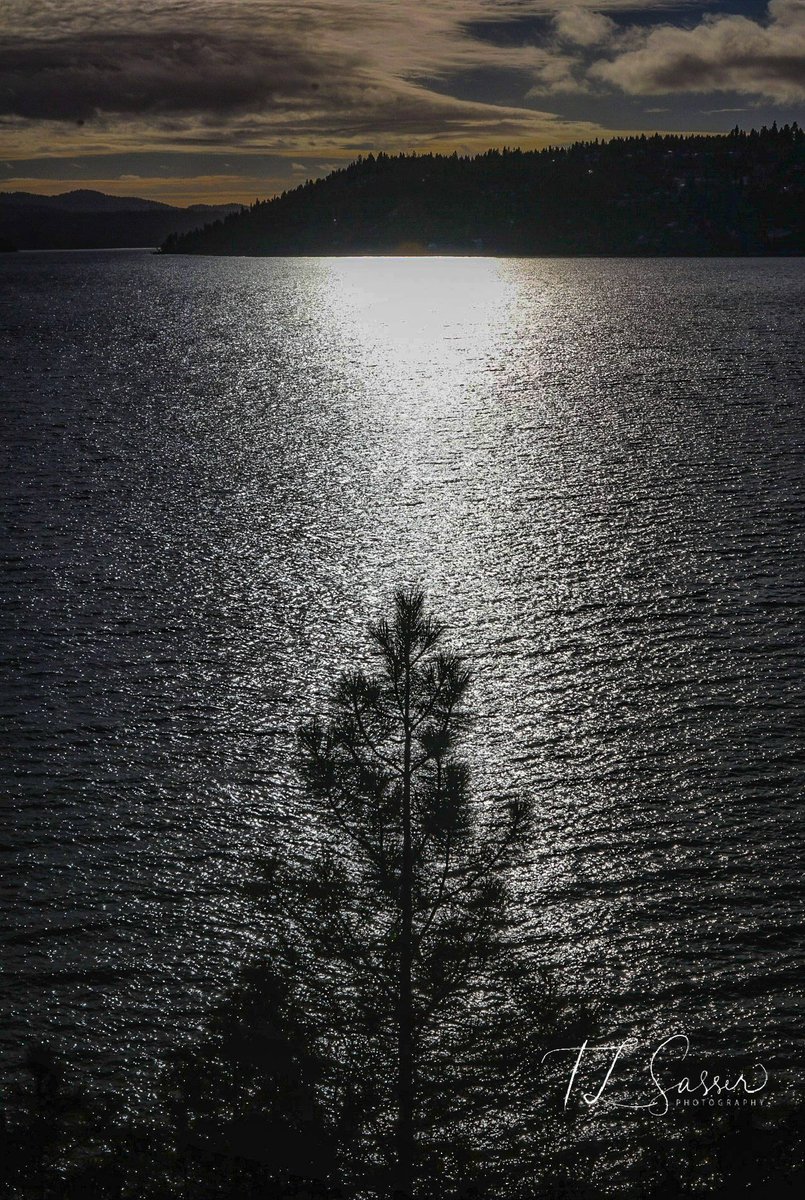 TLSasserphoto's tweet photo. A different view from Tubbs Hill 
@NadineKXLY @KrisCrockerKXLY @LakeCoeurdAlene @OnlyinIdaho @ https://t.co/Bi20GEJII8