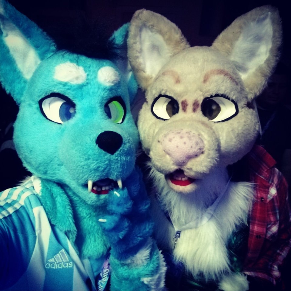 furrynightok's tweet photo. Acá lo tienen a @Just_Starfly y @Chuo87 !! #fn2018 #furrynigt #fursuiter #fursuit #furryfandom https://t.co/b4BSng6rEY