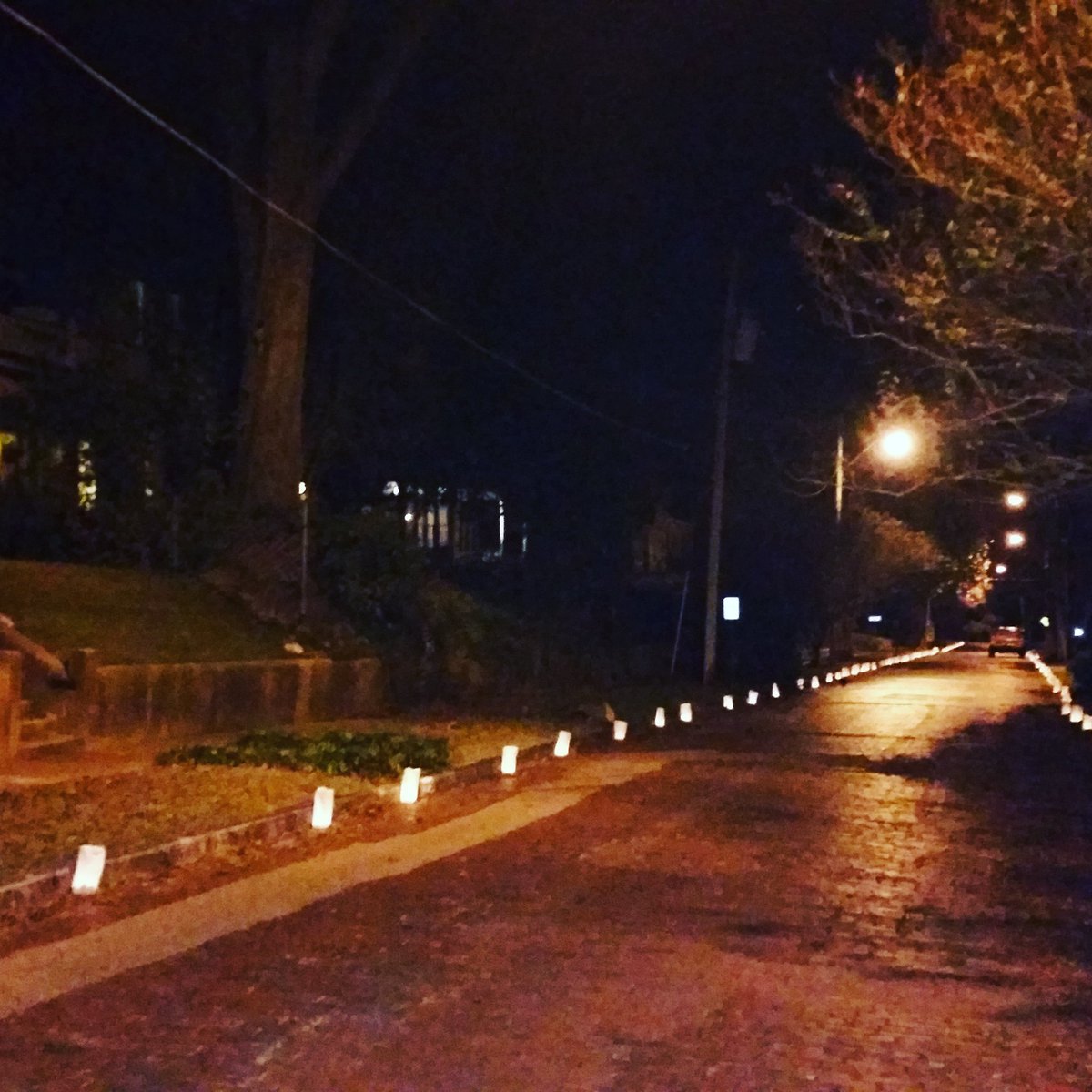mikecalnan's tweet photo. Luminaria on Baum Street. https://t.co/yt5jDpju4c