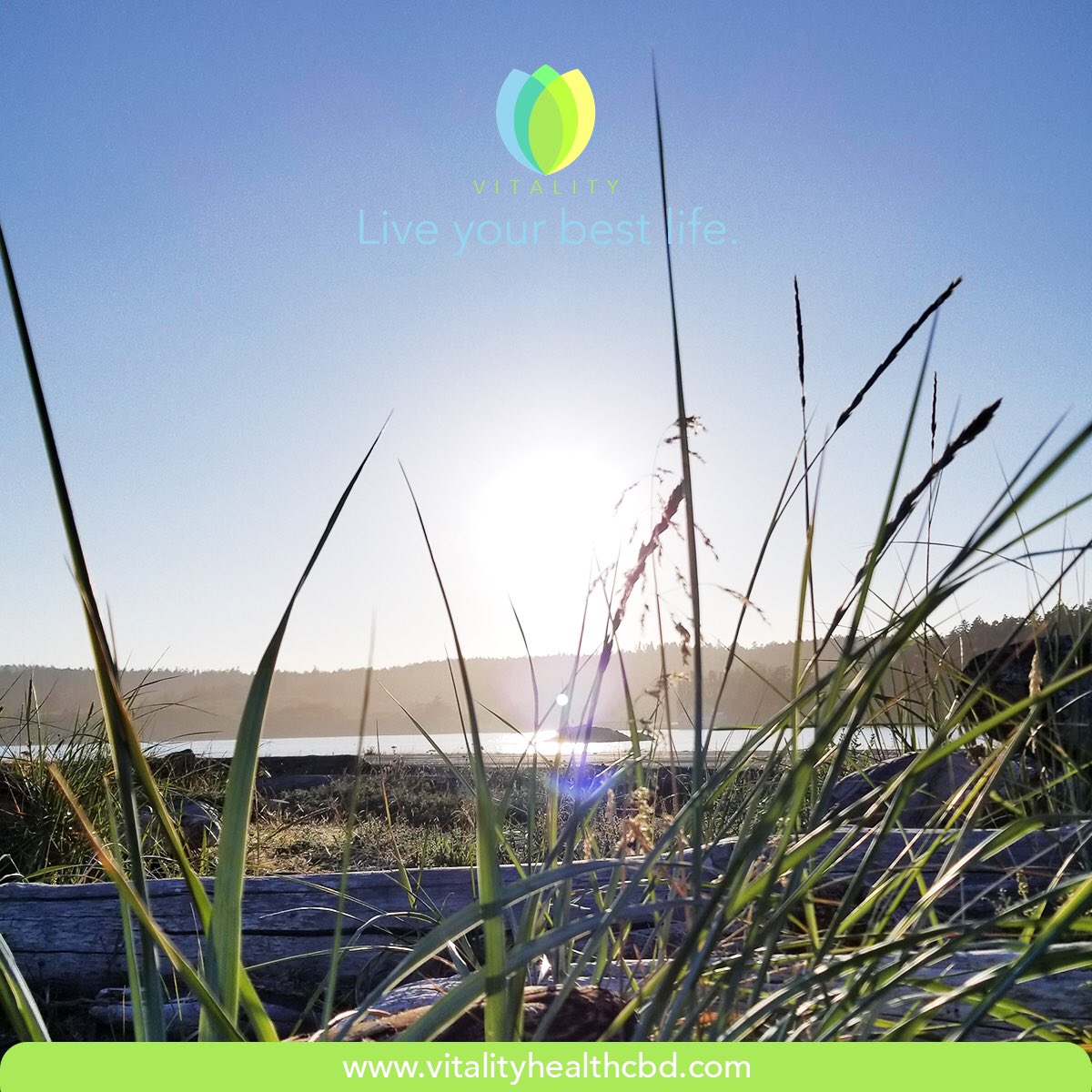 VitalityCbd's tweet photo. Live your best life. Visit #VitalityHealthCBD to get your #CBD today! #nanoparticle #Vitality #health #healthylifestyle #lifestyle #cbdlifestyle #cbdoil #cbdheals #cbdhealth #liveyourbestlife https://t.co/JTxrXUhe9i