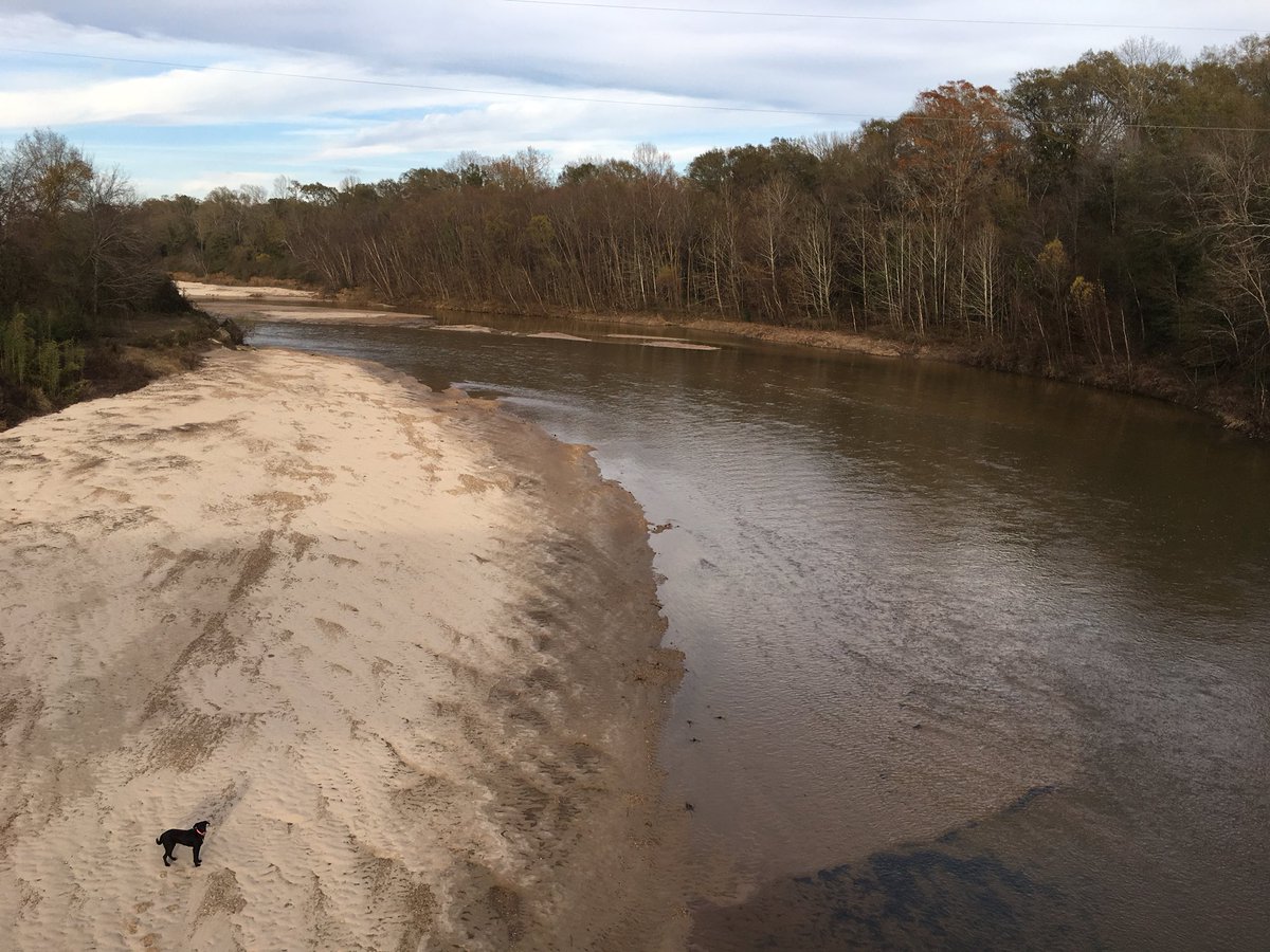 Itsallagame's tweet image. Glimmering Mississippian ripples 
of the Homochitto River. 

#Mississippi
#Homochittoriver
#nationalforrest