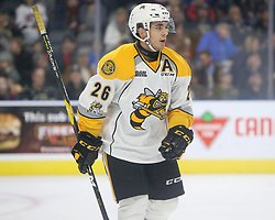 ICYMI: Sting enter holiday break with a loss Saturday night  blackburnnews.com/sarnia/sarnia-… https://t.co/BBdMGQKNwL