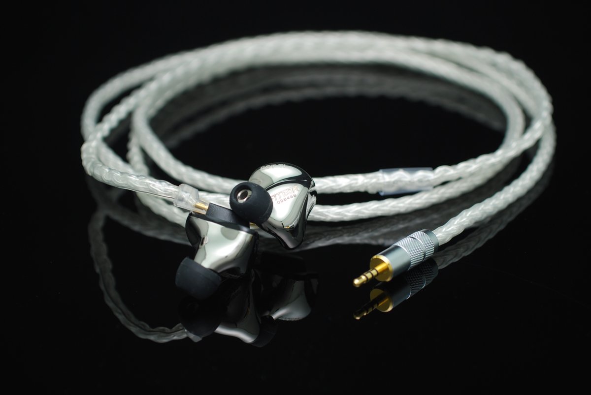 fitear EST universal wagnus ケーブル 他セット 須山歯研 FitEar EST