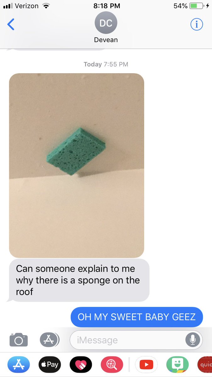 ZephyrFox11's tweet image. 