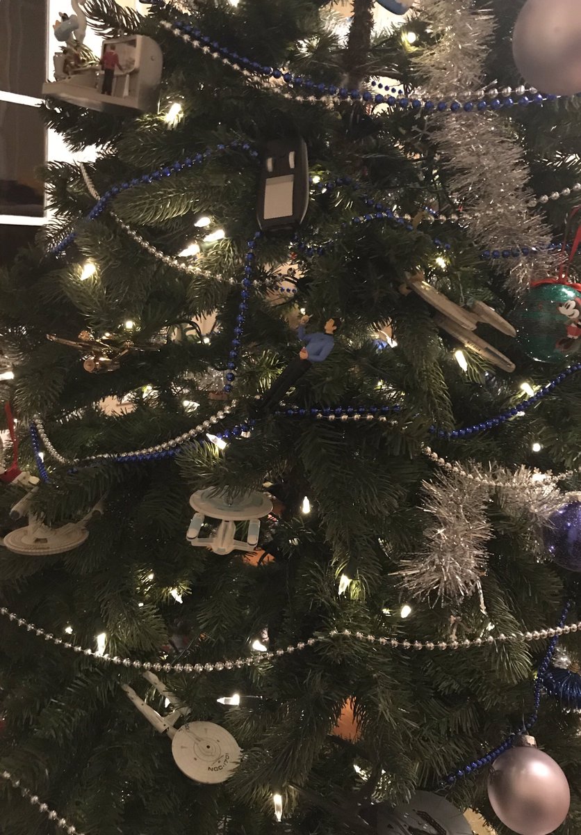 mary_patf's tweet photo. @StarTrek my #trektree.  Already know I’m getting a #tricorder for Christmas because I bought it for myself!! ( missing in shot are my Klingon bird of prey and at least one more enterprise) https://t.co/3ICVXlc9aj